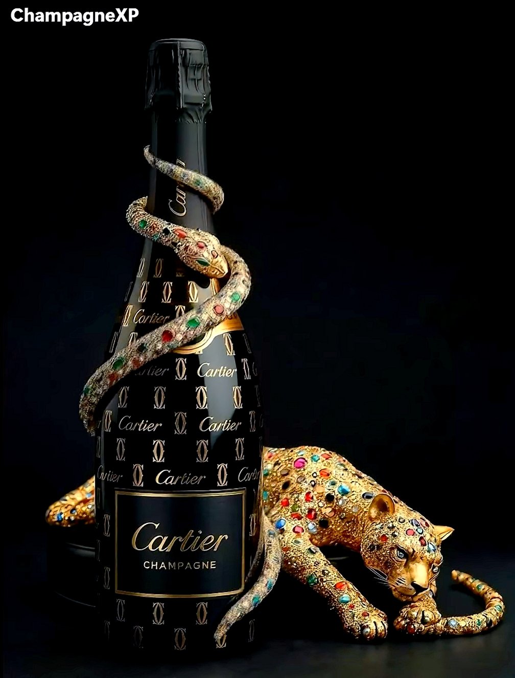 Création ChampagneXP